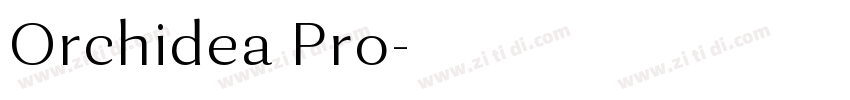 Orchidea Pro字体转换
